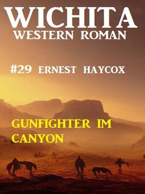 cover image of Gunfighter im Canyon